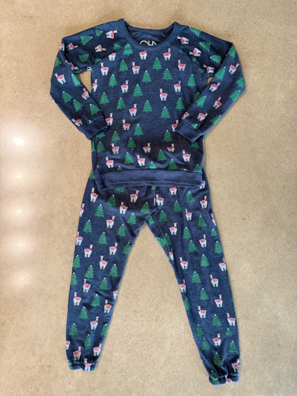 Chaser Kids Navy Blue Holiday Reindeer Pajama Set